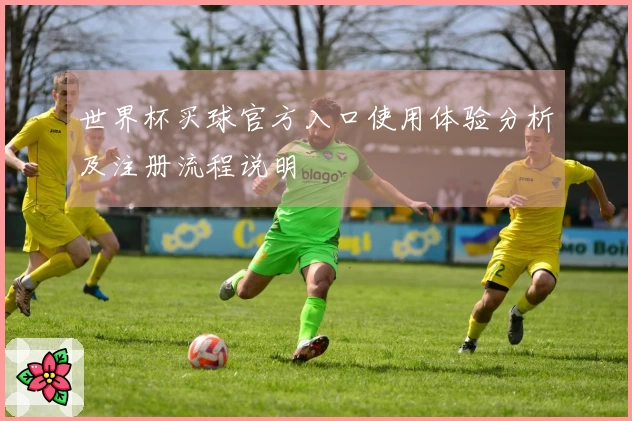 世界杯买球官方入口使用体验分析及注册流程说明