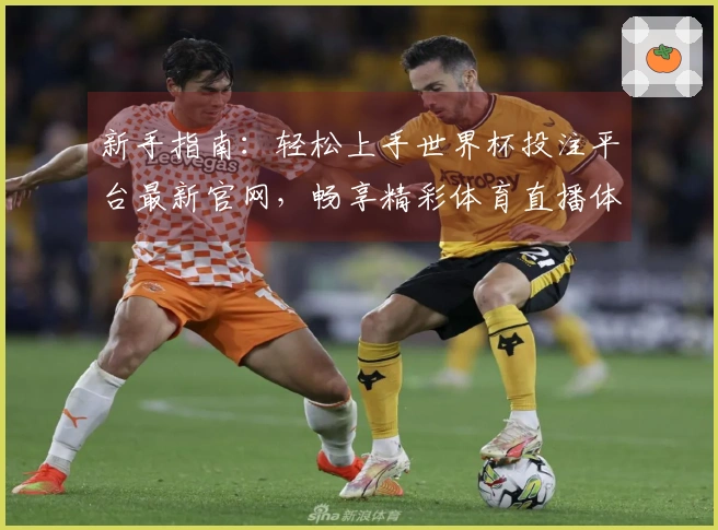 新手指南：轻松上手世界杯投注平台最新官网，畅享精彩体育直播体验