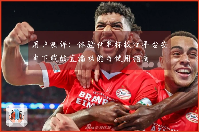 用户测评：体验世界杯投注平台安卓下载的直播功能与使用指南