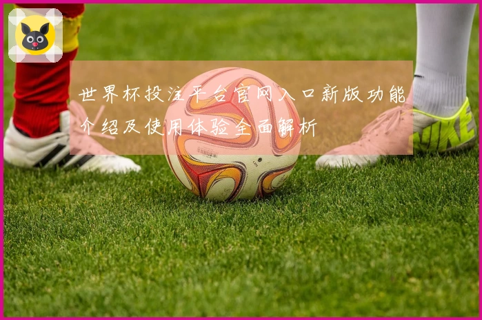 世界杯投注平台官网入口新版功能介绍及使用体验全面解析