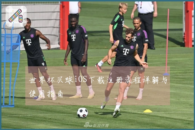 世界杯买球iOS下载注册流程详解与使用指南