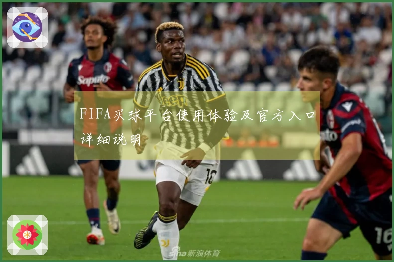 FIFA买球平台使用体验及官方入口详细说明