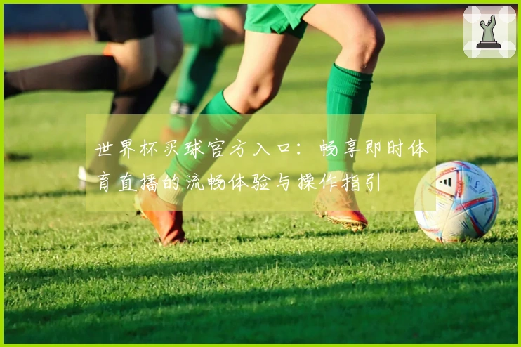世界杯买球官方入口：畅享即时体育直播的流畅体验与操作指引