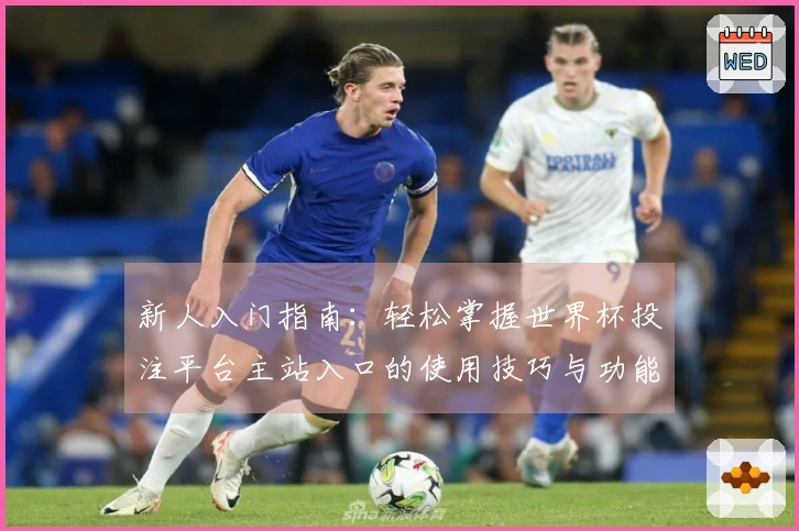 新人入门指南：轻松掌握世界杯投注平台主站入口的使用技巧与功能介绍