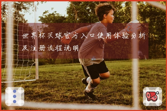 世界杯买球官方入口使用体验分析及注册流程说明