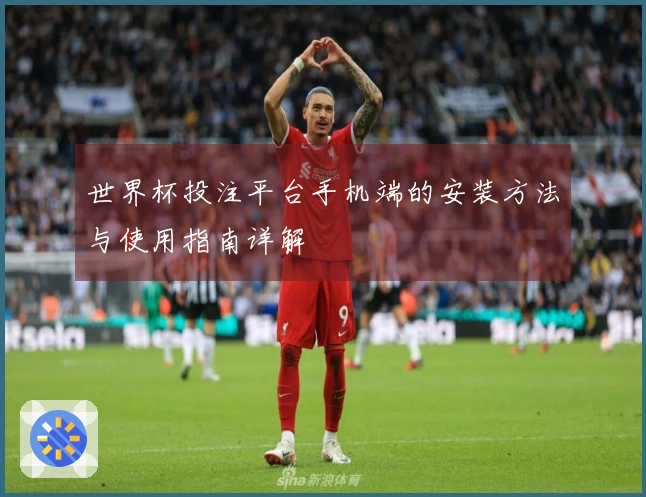 世界杯投注平台手机端的安装方法与使用指南详解