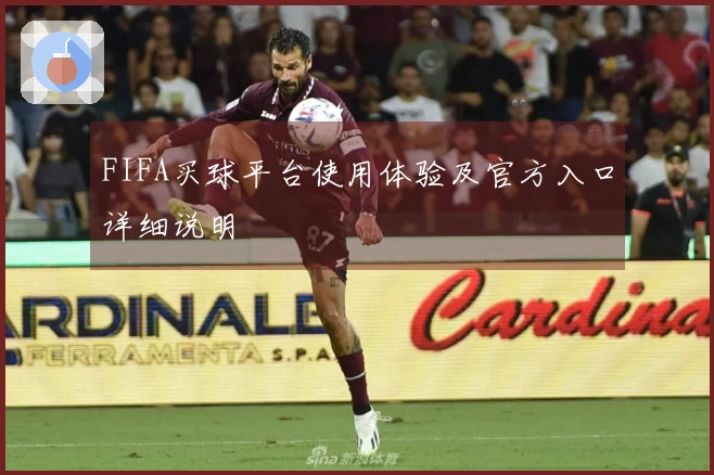 FIFA买球平台使用体验及官方入口详细说明
