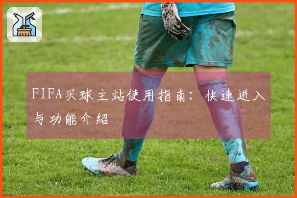 FIFA买球主站使用指南：快速进入与功能介绍