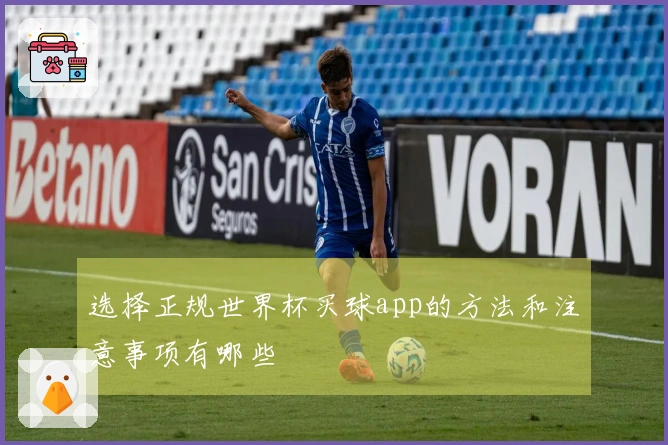 选择正规世界杯买球app的方法和注意事项有哪些