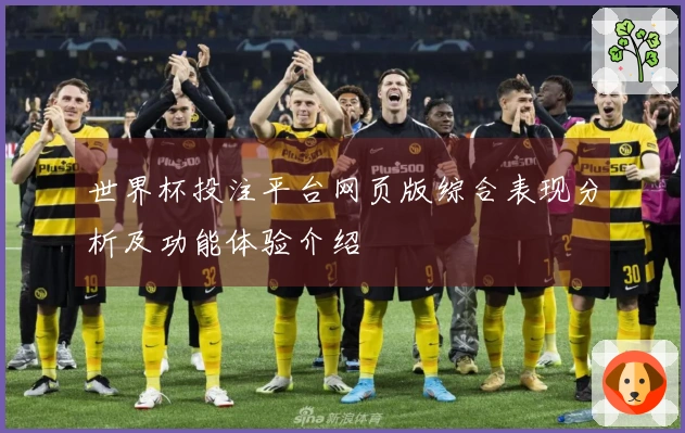 世界杯投注平台网页版综合表现分析及功能体验介绍