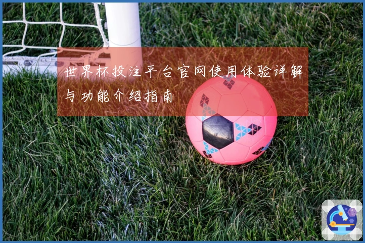 世界杯投注平台官网使用体验详解与功能介绍指南