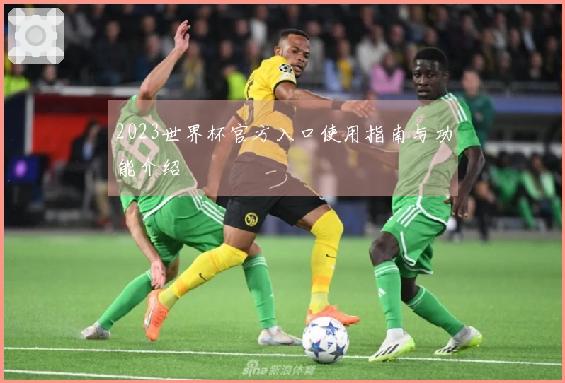 2023世界杯官方入口使用指南与功能介绍