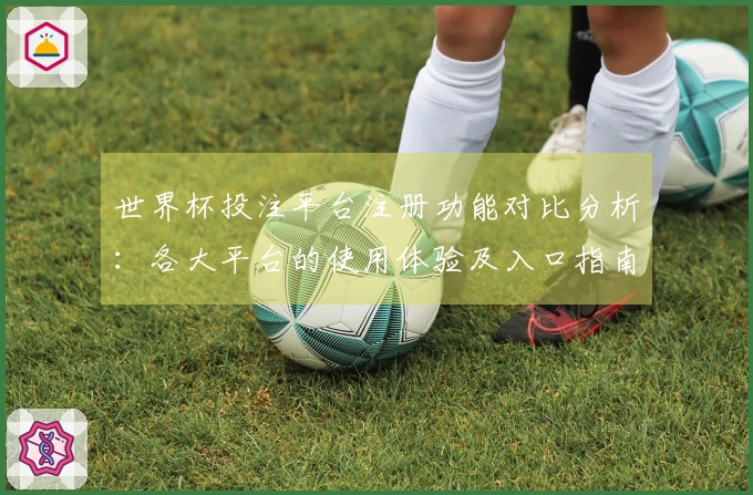 世界杯投注平台注册功能对比分析：各大平台的使用体验及入口指南