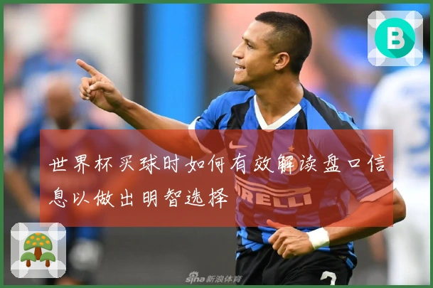 世界杯买球时如何有效解读盘口信息以做出明智选择