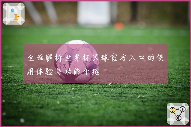 全面解析世界杯买球官方入口的使用体验与功能介绍